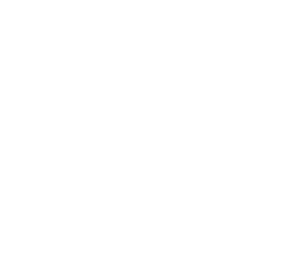 f9i logo